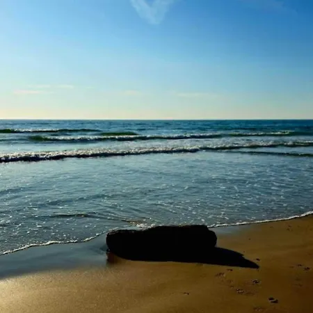 Apartament 6 Person On A In *